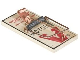 mousetrap.jpg